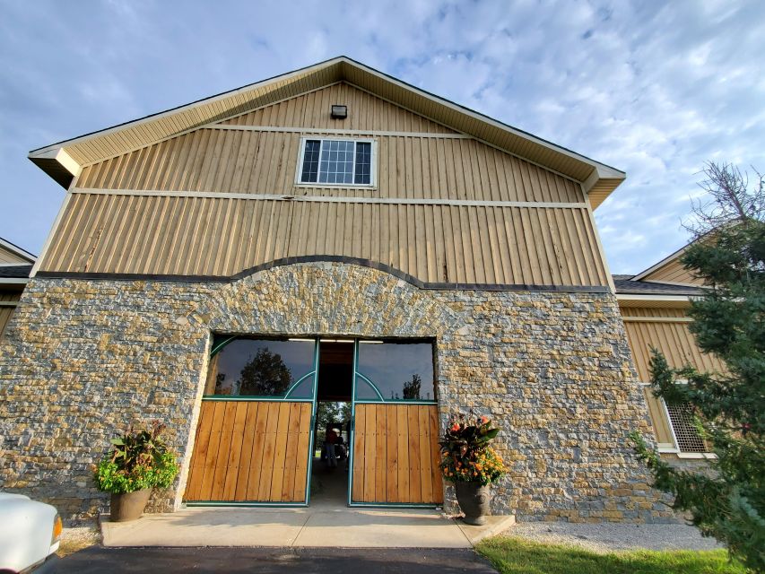 From Lexington: Kentucky Horse Farms Tour - Why this short Lexington horse tour works
