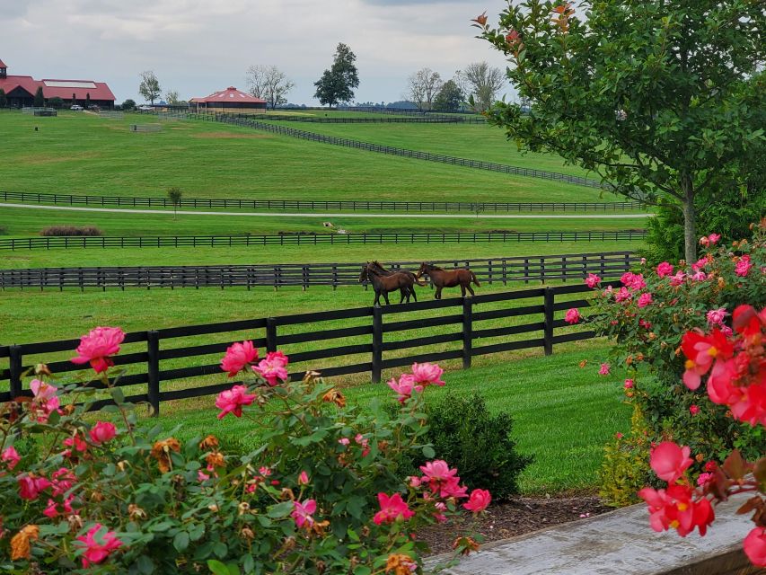 From Lexington: Kentucky Horse Farms Tour - KatieRich Farms and changing farm stops
