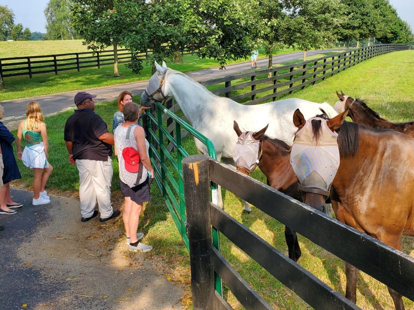 From Lexington: Kentucky Horse Farms Tour - An equine hospital and the serious side of horse care
