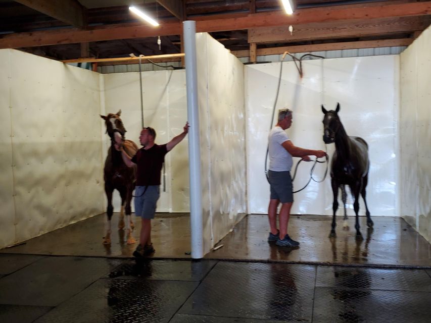From Lexington: Kentucky Horse Farms Tour - The guide is the heart of the experience