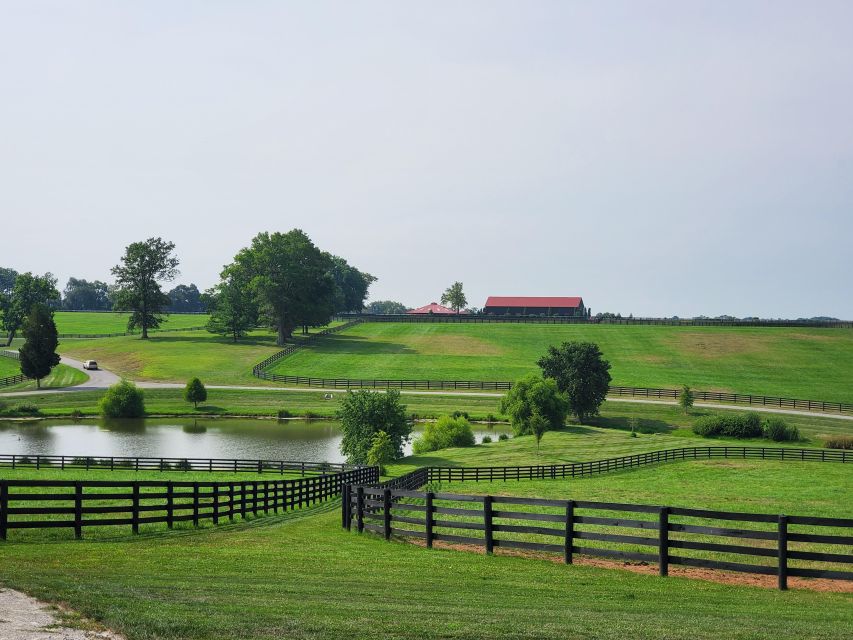 From Lexington: Kentucky Horse Farms Tour - Is $59 a good value for three hours?