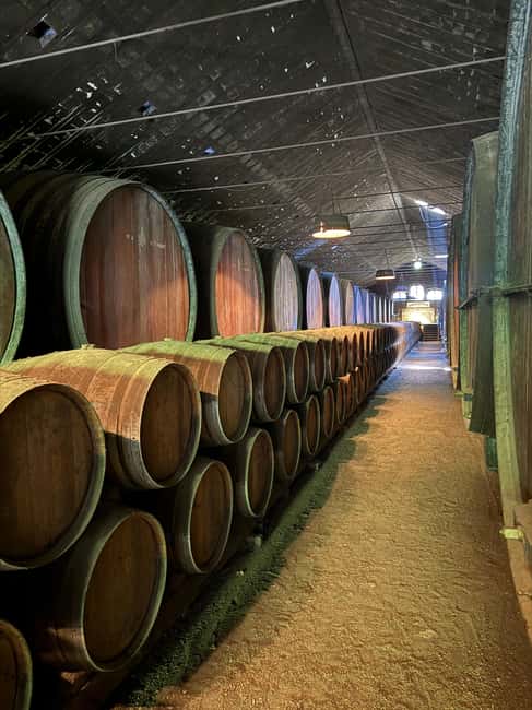 From Lisbon: Amazing Horseback Ride, Tasting, Estates, and Cristo Rei - One Guide, One Vehicle, Ten People