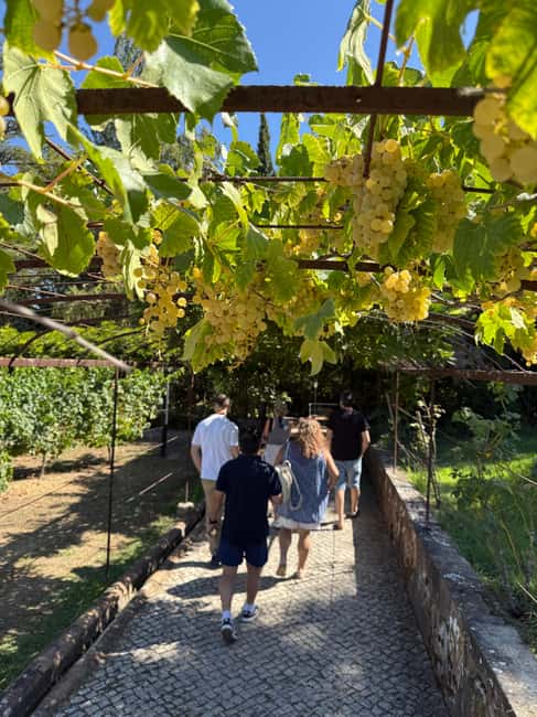 From Lisbon: Amazing Horseback Ride, Tasting, Estates, and Cristo Rei - Cristo Rei Above the Tagus