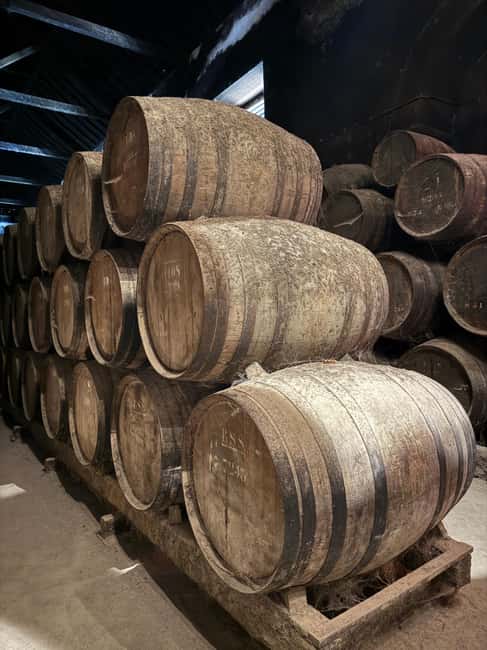 From Lisbon: Amazing Horseback Ride, Tasting, Estates, and Cristo Rei - What $304 Buys You