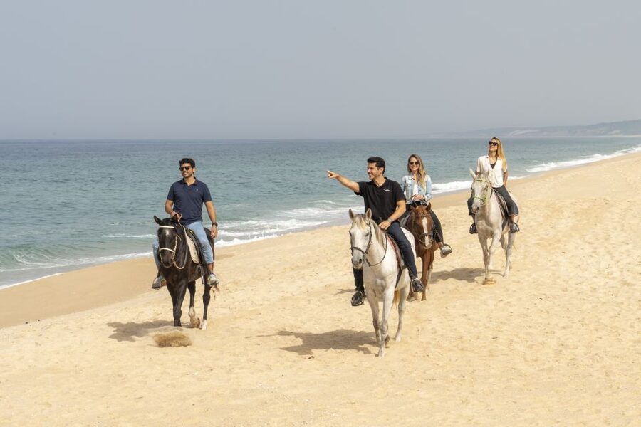From Lisbon: Comporta and Setúbal Trip with Horseback Riding - Key points to know before booking