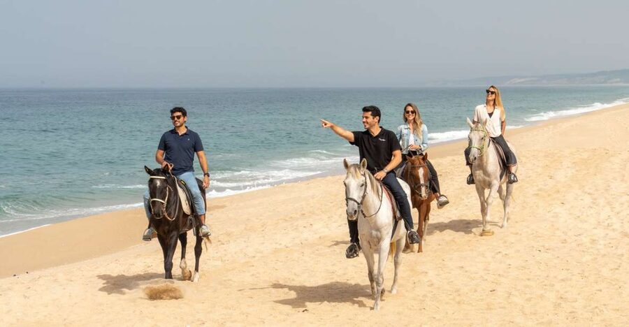 From Lisbon: Comporta and Setúbal Trip with Horseback Riding - From Lisbon to Setúbal in a small group