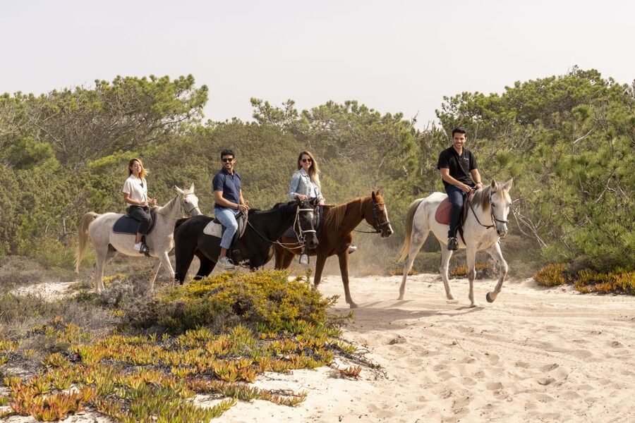 From Lisbon: Comporta and Setúbal Trip with Horseback Riding - How the price compares with the day you receive