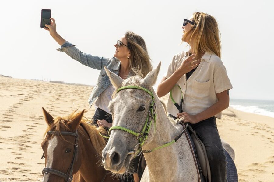 From Lisbon: Comporta and Setúbal Trip with Horseback Riding - Setúbal’s market and seafaring character
