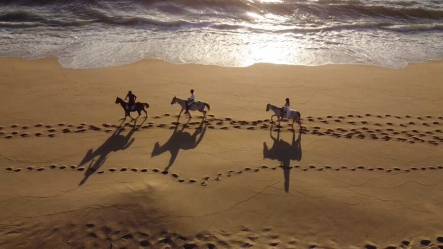 From Lisbon: Horseback Riding on Comporta Beach - Key points to know before you book