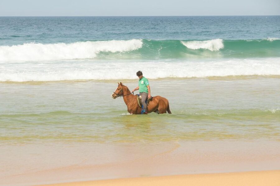 From Lisbon: Horseback Riding on Comporta Beach - Through the Atlantic forest and over the dunes