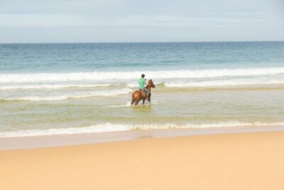 Horseback Riding on Comporta Beach