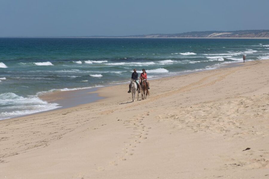 From Lisbon: Horseback Riding on Comporta Beach - What the two-hour ride feels like