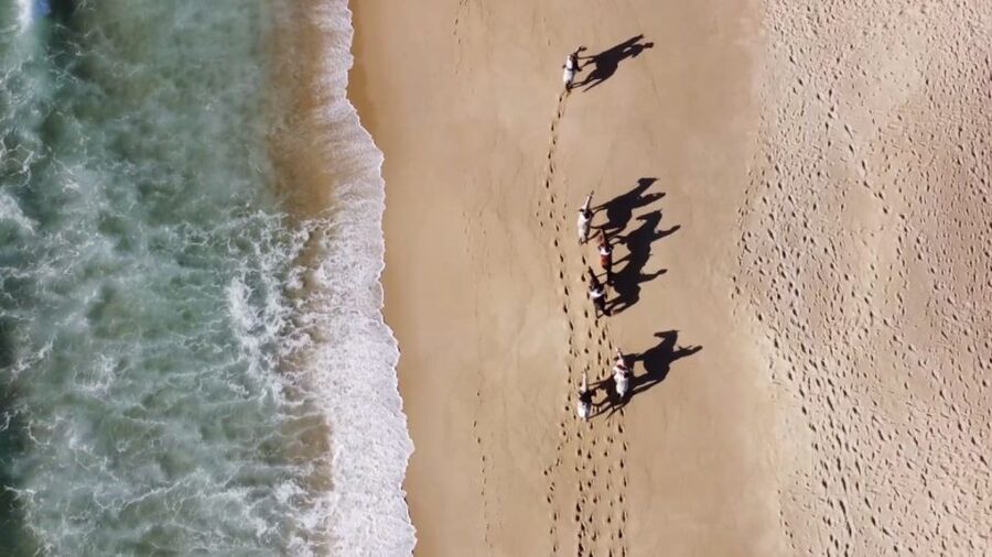 From Lisbon: Horseback Riding on Comporta Beach - Is $165 a fair price?