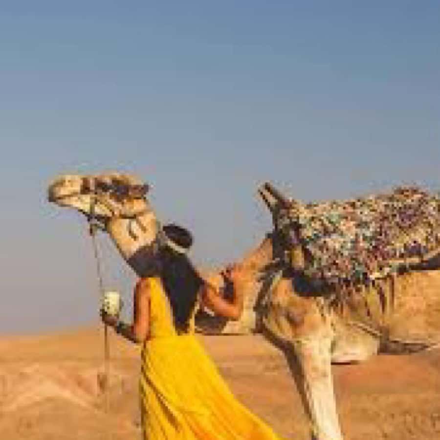 From Marrakech: Agafay Desert Horse ride with sunset - The Ride to Agafay Through Olive and Orange Country