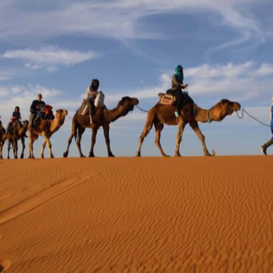 From Marrakech: Agafay Desert Horse ride with sunset - Sunset From the High Plateau