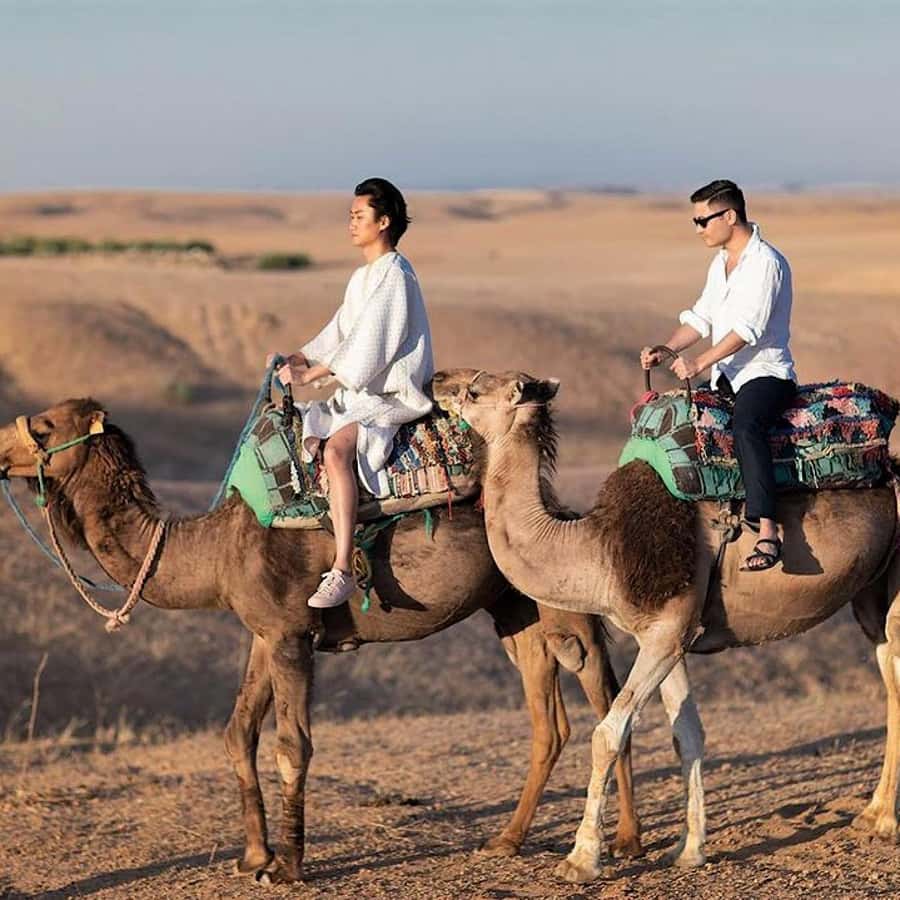 From Marrakech: Agafay Desert Horse ride with sunset - What the Small Group Size Really Means