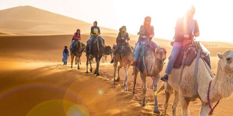 From Marrakech: Agafay Desert Horse ride with sunset - Returning to Marrakech After Dark