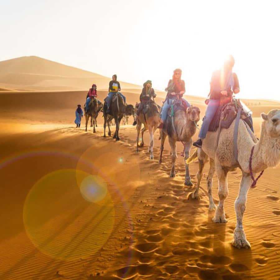 From Marrakech: Agafay Desert Horse ride with sunset - Price, Languages, and Booking Flexibility