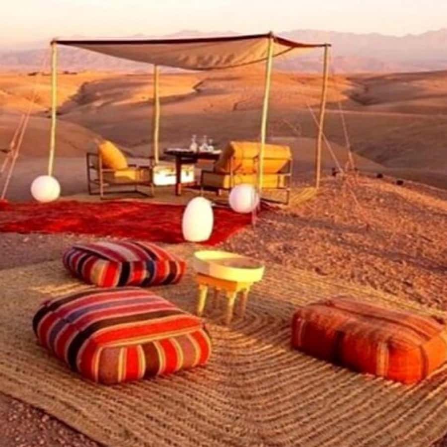 From Marrakech: Agafay Desert Horse ride with sunset - Who Will Enjoy This Agafay Excursion
