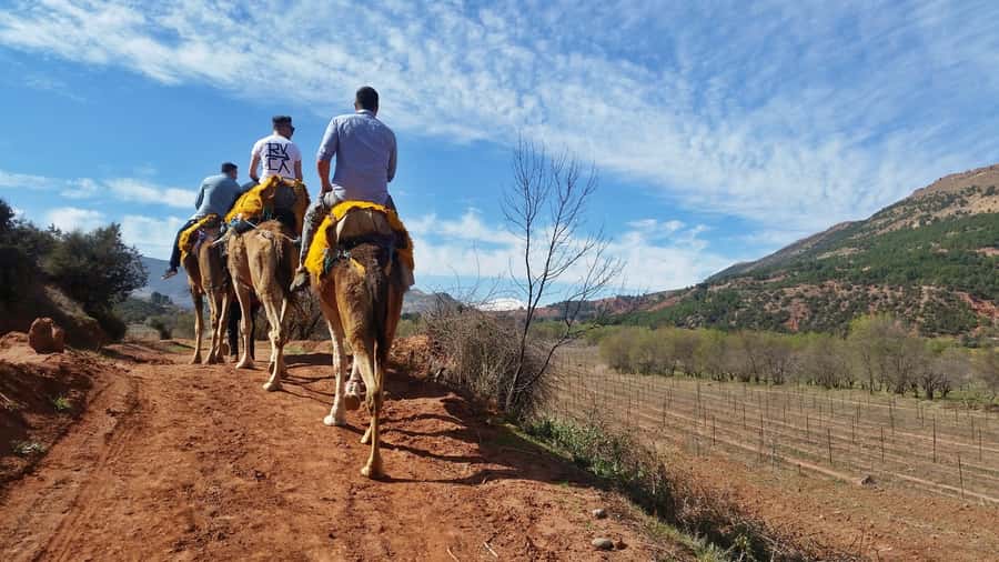 From Marrakech: Atlas Mountains 45-Minute Horseback Ride - The drive from Marrakech to Tahnaout
