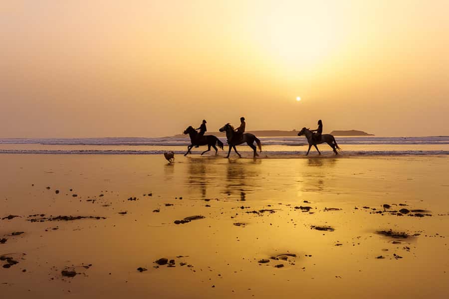 From Marrakech: Essaouira day Trip with camel, horse & quad - Four hours to discover Essaouira