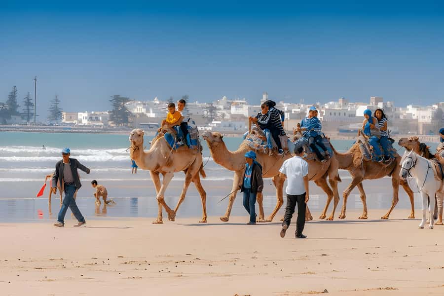 From Marrakech: Essaouira day Trip with camel, horse & quad - What to bring and how to prepare