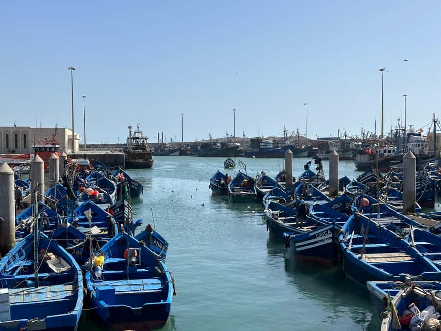 From Marrakech: Essaouira day Trip with camel, horse & quad - The morning road from Marrakech