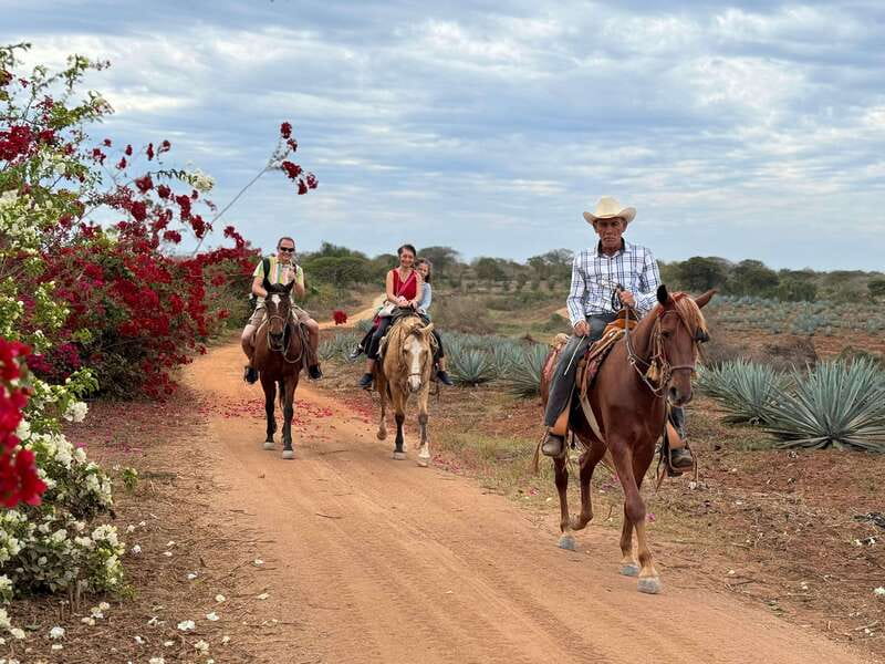 From Mazatlan: ATV & Horse Back riding with Tequila Tasting - The lunch is a real reason to go