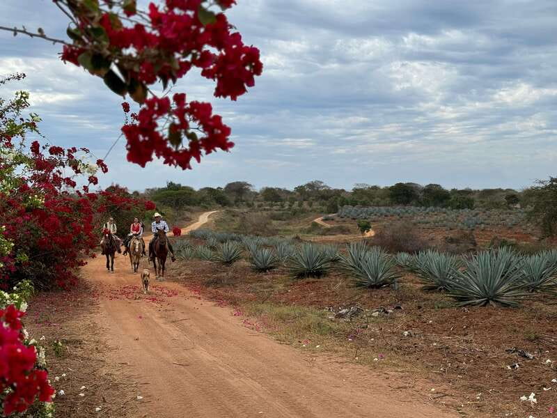 From Mazatlan: ATV & Horse Back riding with Tequila Tasting - Time to explore the family ranch