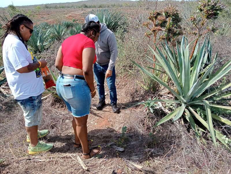 From Mazatlan: ATV & Horse Back riding with Tequila Tasting - Mezcal tasting at the factory