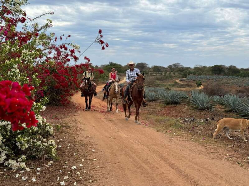 From Mazatlan: ATV & Horse Back riding with Tequila Tasting - Should you book it?