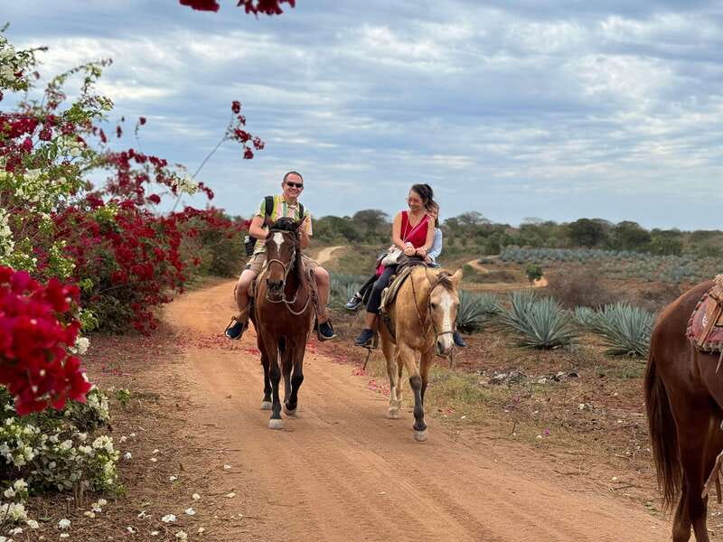 From Mazatlan: ATV & Horse Back riding with Tequila Tasting - Choosing a horse for the beach ride