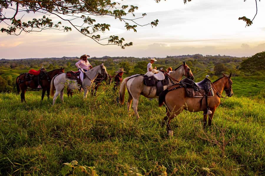 From Medellin; (All-In) The Real Horseback Ranch Experience - Key points to know before booking