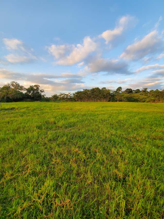 From Medellin; (All-In) The Real Horseback Ranch Experience - Who should book this ride