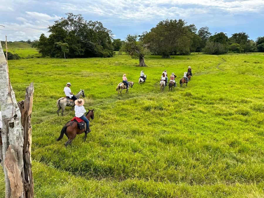 From Medellin; (All-In) The Real Horseback Ranch Experience - Meeting the horses at N’AYRA