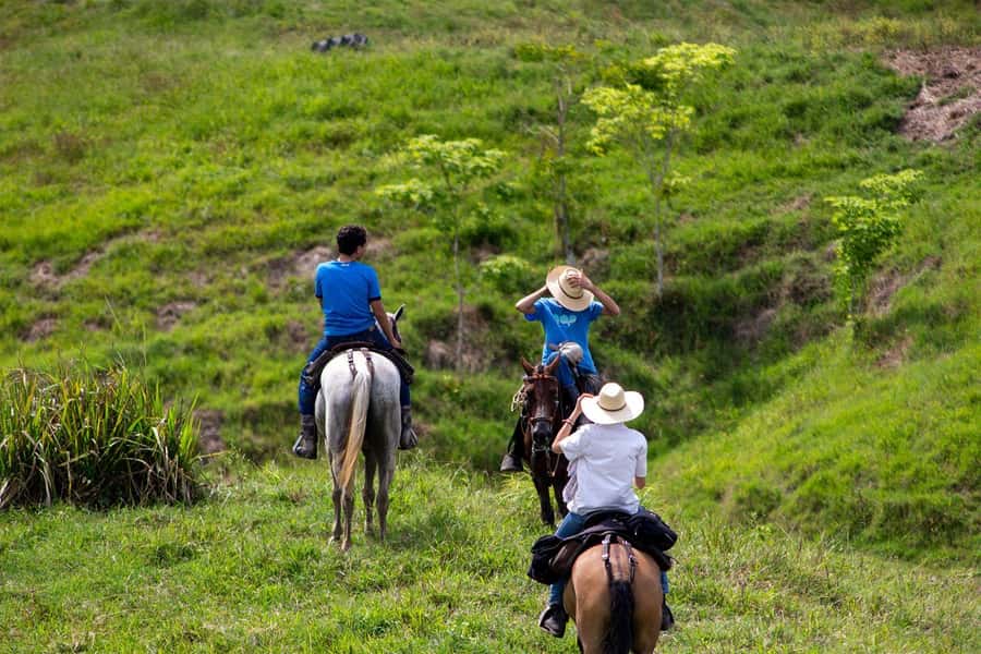 From Medellin; (All-In) The Real Horseback Ranch Experience - Fiambre in the middle of the pastures