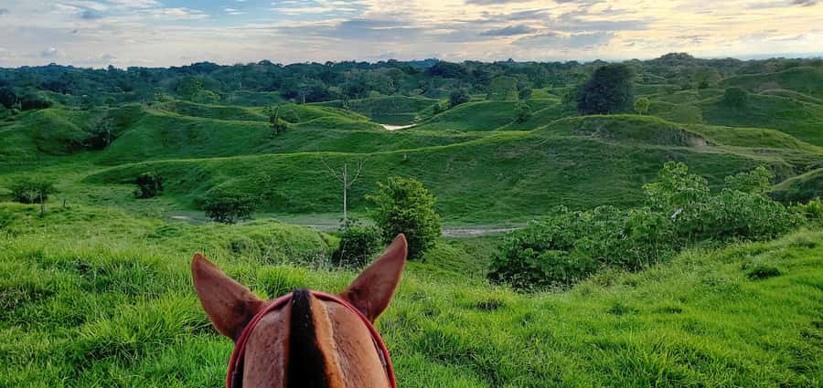 From Medellin; (All-In) The Real Horseback Ranch Experience - A hammock, a possible swim, and the second ride