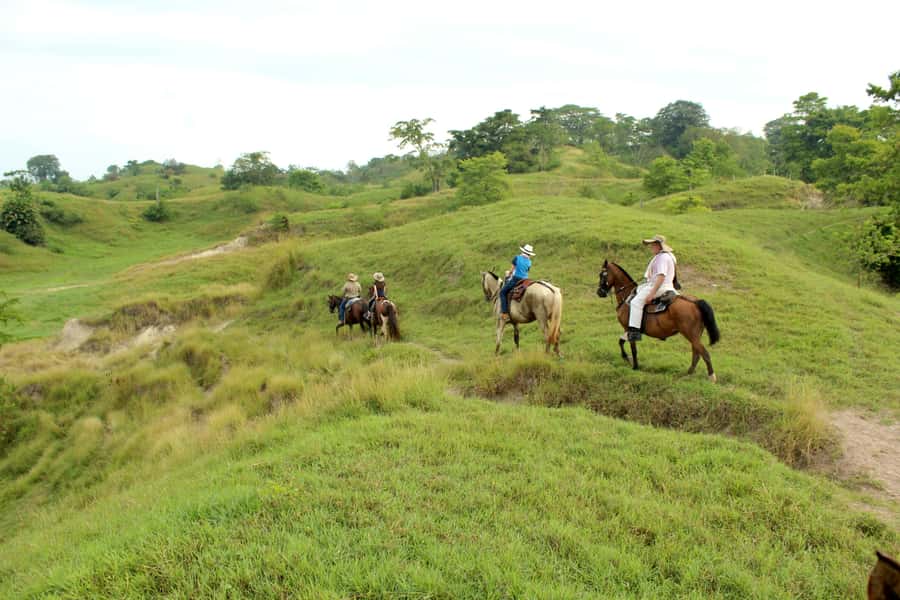 From Medellin; (All-In) The Real Horseback Ranch Experience - What the $250 price really covers