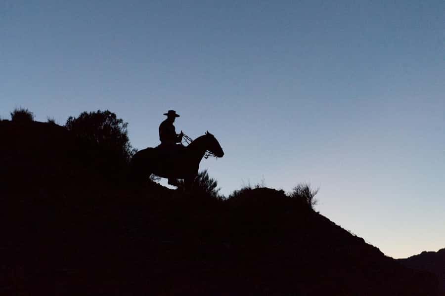 From Mendoza: Sunset Horseback Ride and Asado in the Andes - Meeting the horses and starting the ride