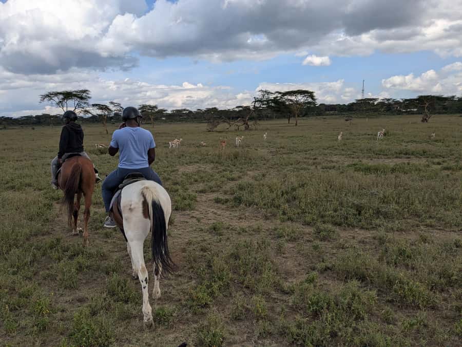 From Nairobi: Horseback Wildlife Safari with Transfer & Meal - Meeting the horses and getting ready