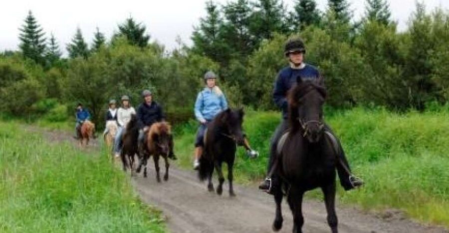 From Reykjavik: Full-Day Horse Riding & Golden Circle Tour - Why this horse ride makes the day different