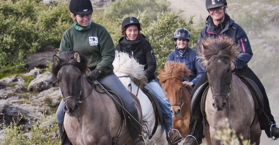 From Reykjavík: Viking Horseback Tour in Hafnarfjörður - At a glance