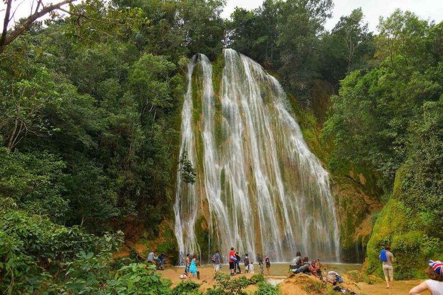 From Samaná: El Limón Waterfall Horseback Ride with Lunch - Riding through Samaná’s tropical forest