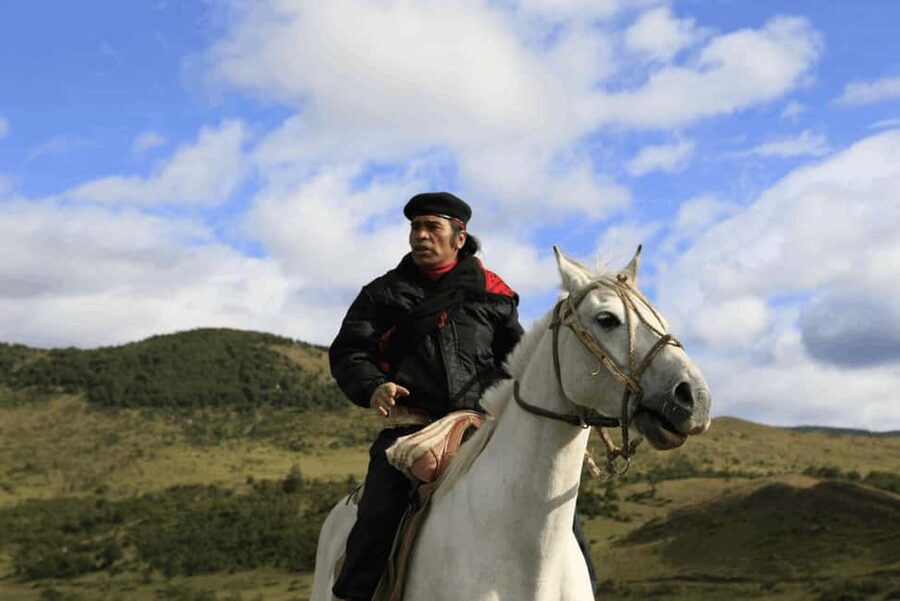 From Samaná: El Limón Waterfall Horseback Ride with Lunch - The personal side of the experience