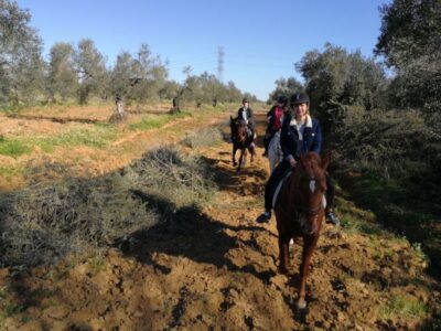 Andalusian Horseback Ride