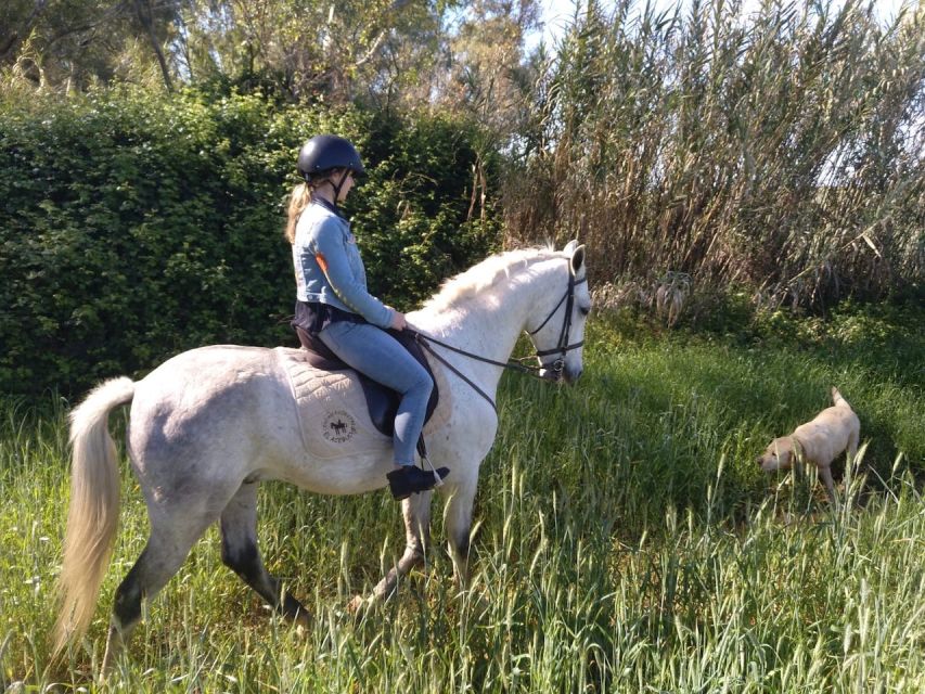 From Seville: Andalusian Horseback Ride - Who will enjoy this ride most