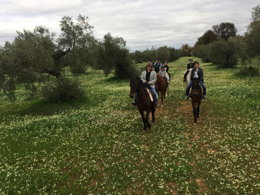 From Seville: Andalusian Horseback Ride - Practical details that affect your day
