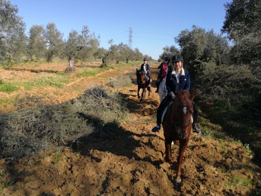 From Seville: Andalusian Horseback Ride - Settling into the saddle before the ride