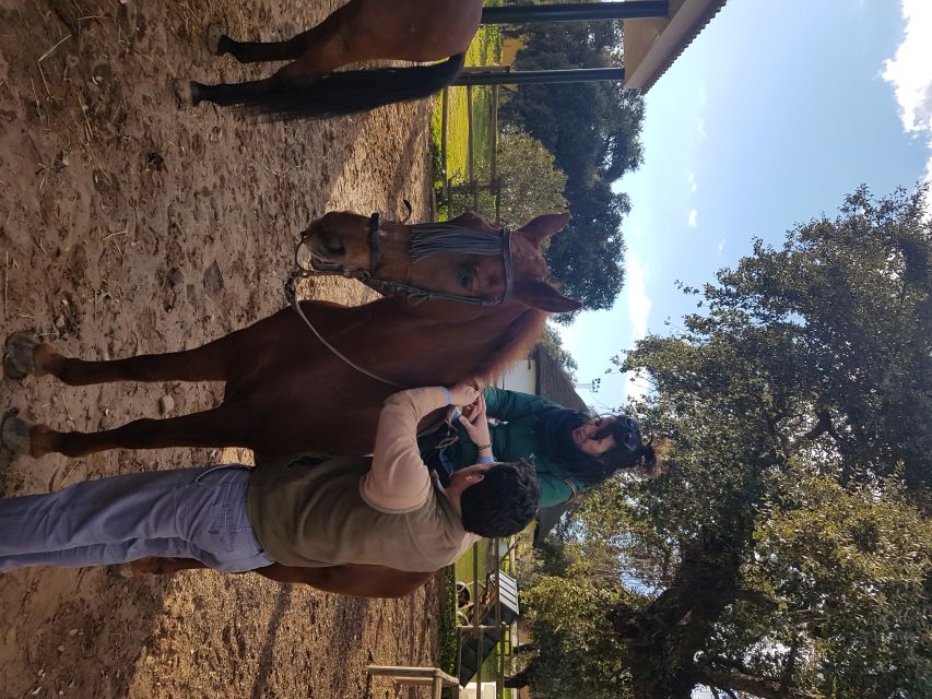 From Seville: Horseback Riding Experience in Aljarafe - Meeting the Andalusian horse