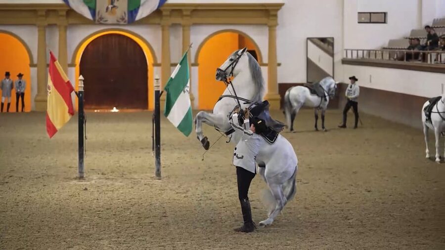 From Seville: Jerez, Cádiz and Andalusian Horses - The coach ride from Seville to Jerez